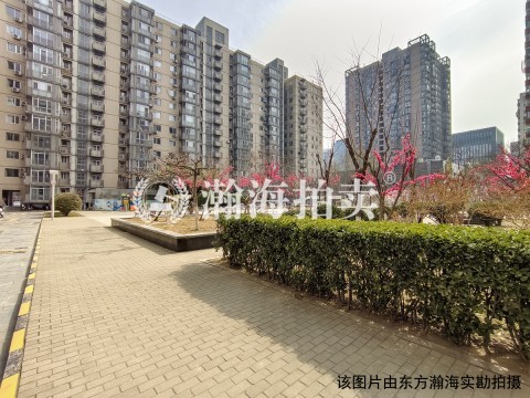 远洋德邑乙6号楼6单元801室