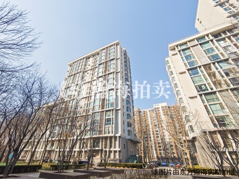 东方雅苑4号楼2单元1002室（复式）