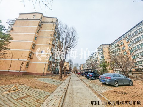 樱花园二区雁南苑1号楼3单元101室