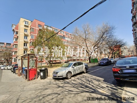 志强北园甲1号楼2单元101室