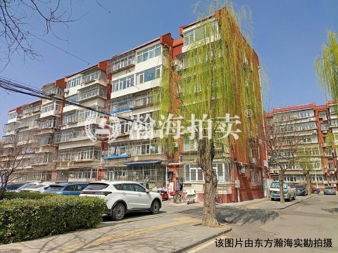 石园东区20号楼3单元202室