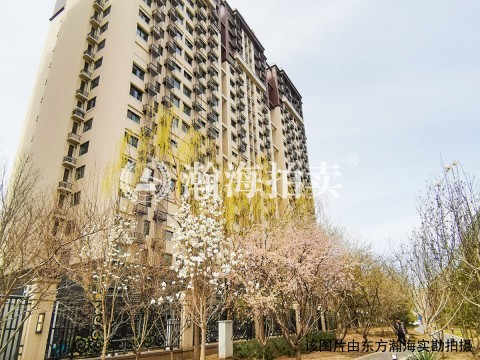 北京城建兴悦居2号楼3单元2004室