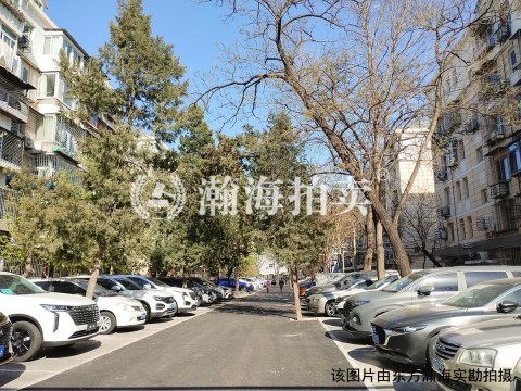 北大街南里10号楼1单元509室