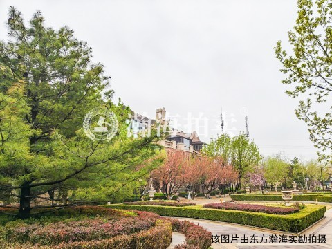 京基鹭府25号楼101室（别墅）