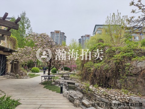 山水文园五期9号楼3单元101室