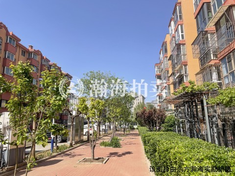 天元小区43号楼261室