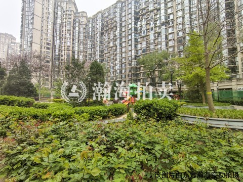 珠江帝景206号楼2单元902室